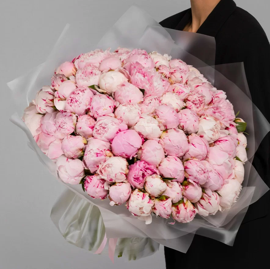 Eleganter Strauß aus rosa Pfingstrosen Sara Bernhard in transparenter Folie mit rosa Satinband – Blumen Kreativ Wien